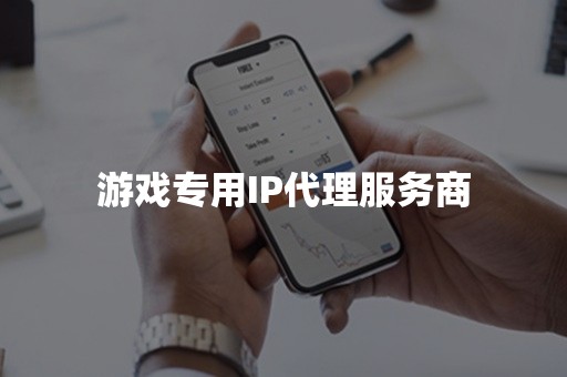 游戏专用IP代理服务商