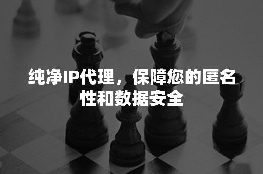 纯净IP代理，保障您的匿名性和数据安全