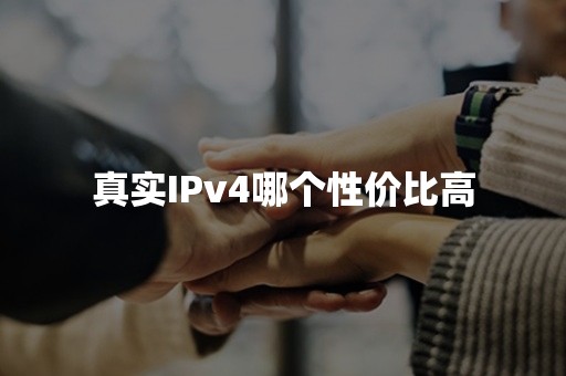 真实IPv4哪个性价比高