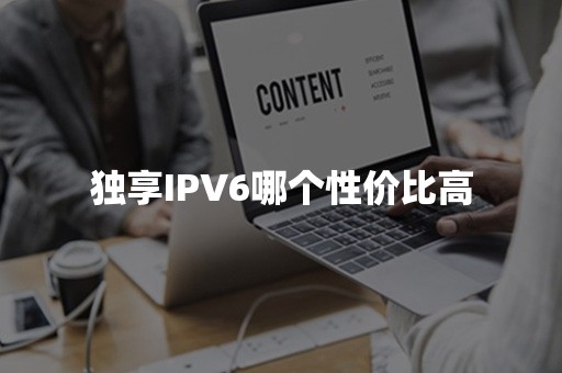 独享IPV6哪个性价比高