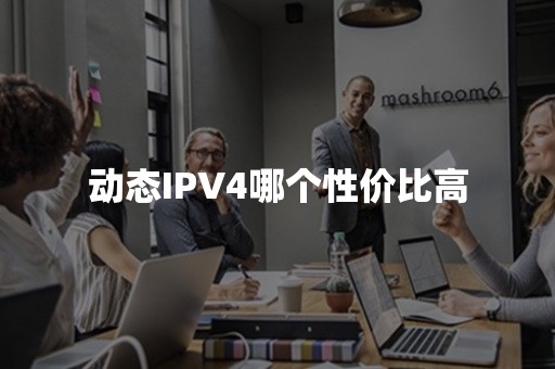 动态IPV4哪个性价比高