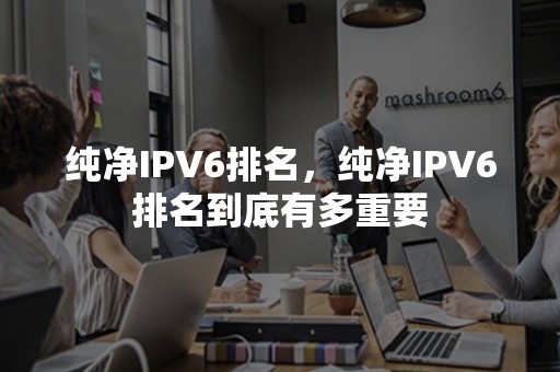 纯净IPV6排名，纯净IPV6排名到底有多重要