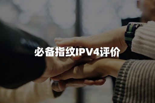 必备指纹IPV4评价