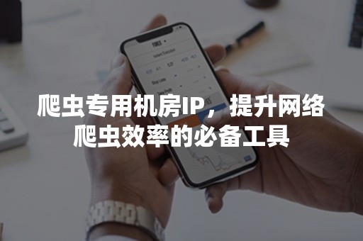 爬虫专用机房IP，提升网络爬虫效率的必备工具