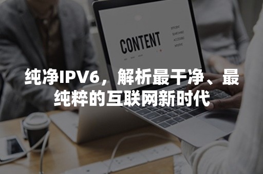 纯净IPV6，解析最干净、最纯粹的互联网新时代