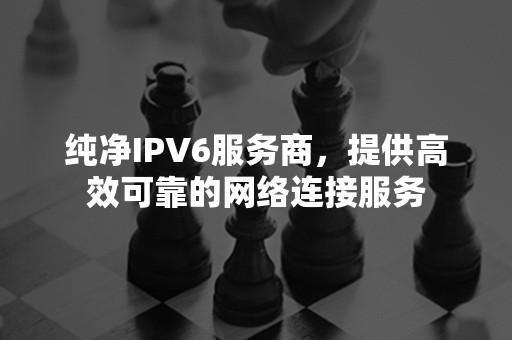 纯净IPV6服务商，提供高效可靠的网络连接服务