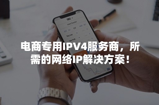 电商专用IPV4服务商，所需的网络IP解决方案！