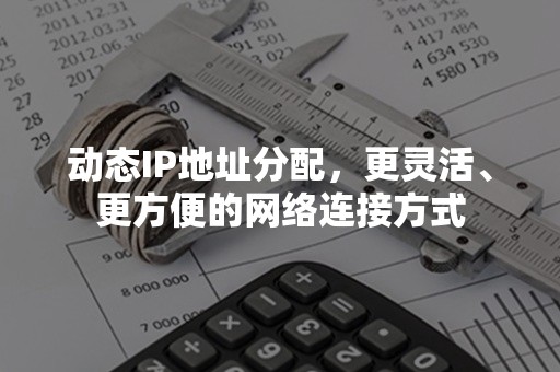 动态IP地址分配，更灵活、更方便的网络连接方式