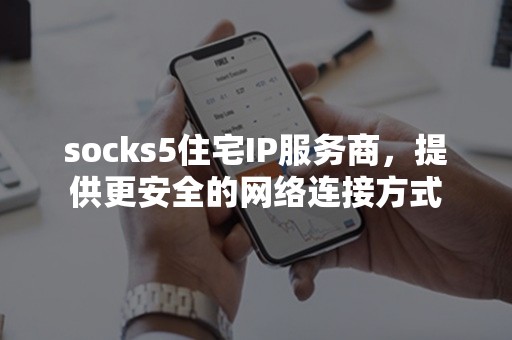 socks5住宅IP服务商，提供更安全的网络连接方式