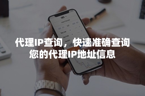 代理IP查询，快速准确查询您的代理IP地址信息