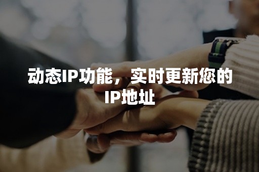 动态IP功能，实时更新您的IP地址