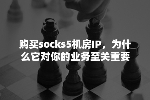 购买socks5机房IP，为什么它对你的业务至关重要