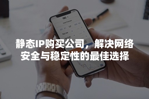 静态IP购买公司，解决网络安全与稳定性的最佳选择