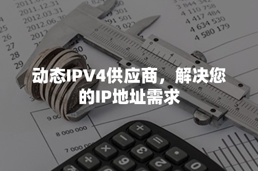 动态IPV4供应商，解决您的IP地址需求