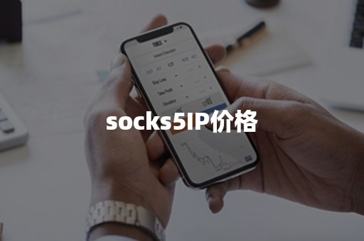 socks5IP价格