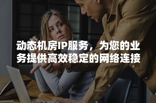 动态机房IP服务，为您的业务提供高效稳定的网络连接