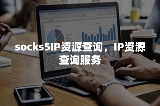 socks5IP资源查询，IP资源查询服务