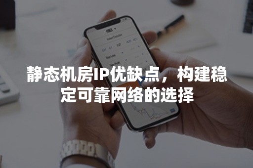 静态机房IP优缺点，构建稳定可靠网络的选择