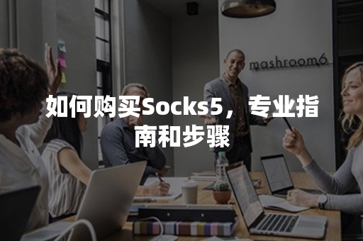 如何购买Socks5，专业指南和步骤