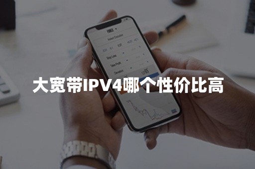 大宽带IPV4哪个性价比高