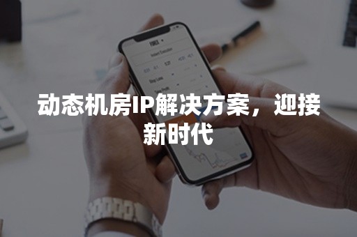 动态机房IP解决方案，迎接新时代