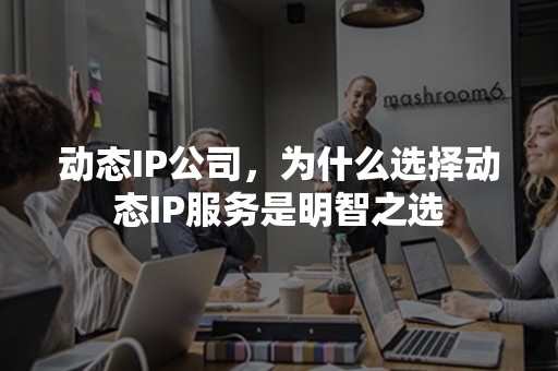 动态IP公司，为什么选择动态IP服务是明智之选