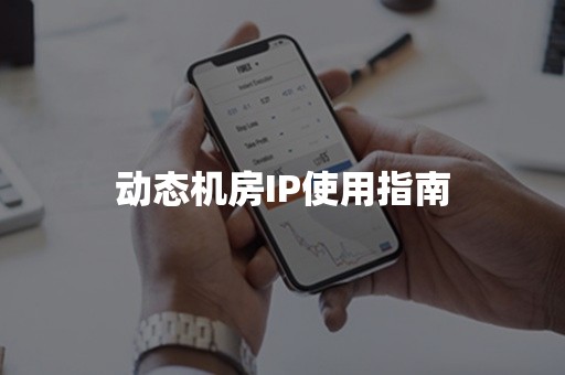 动态机房IP使用指南