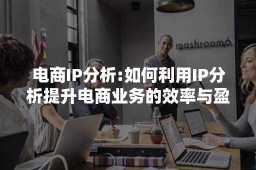 电商IP分析:如何利用IP分析提升电商业务的效率与盈利能力？