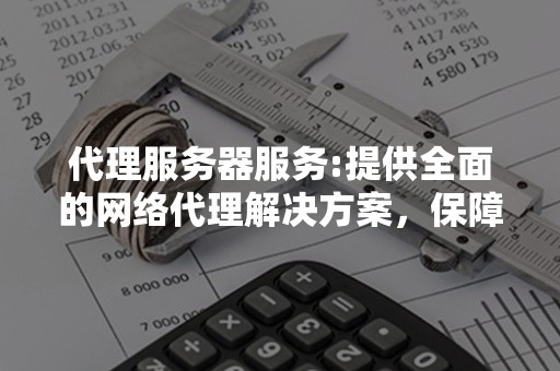 代理服务器服务:提供全面的网络代理解决方案，保障网络安全和稳定性