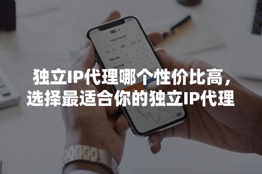 独立IP代理哪个性价比高，选择最适合你的独立IP代理方式