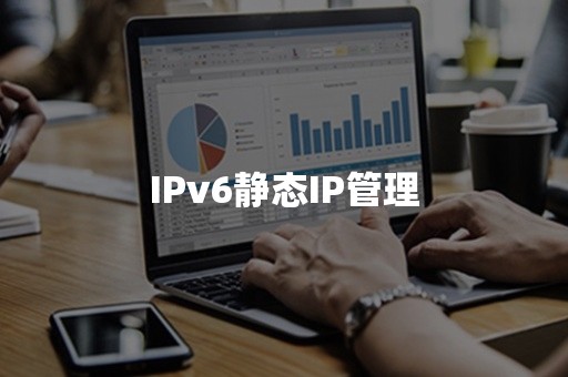 IPv6静态IP管理