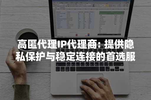 高匿代理IP代理商: 提供隐私保护与稳定连接的首选服务
