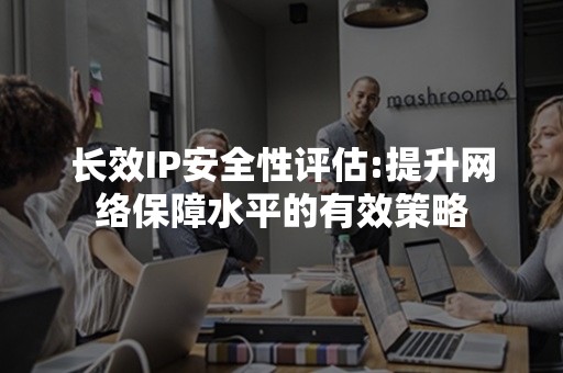 长效IP安全性评估:提升网络保障水平的有效策略