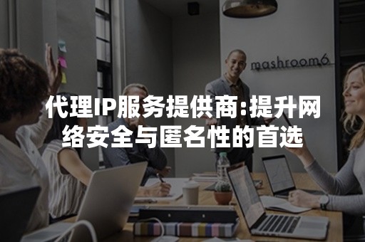 代理IP服务提供商:提升网络安全与匿名性的首选