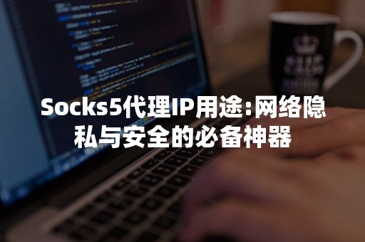 Socks5代理IP用途:网络隐私与安全的必备神器