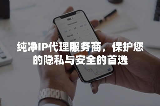 纯净IP代理服务商，保护您的隐私与安全的首选