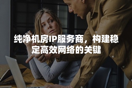 纯净机房IP服务商，构建稳定高效网络的关键