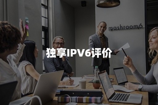 独享IPV6评价