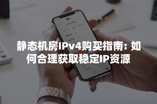 静态机房IPv4购买指南: 如何合理获取稳定IP资源