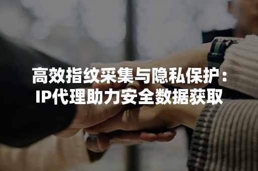 高效指纹采集与隐私保护：IP代理助力安全数据获取