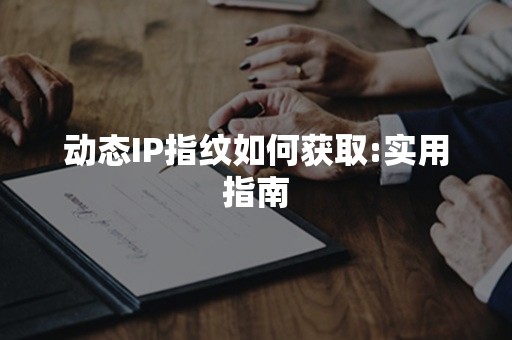 动态IP指纹如何获取:实用指南