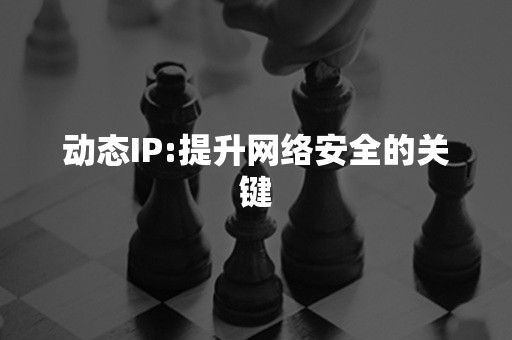 动态IP:提升网络安全的关键