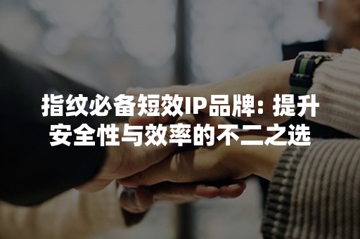 指纹必备短效IP品牌: 提升安全性与效率的不二之选