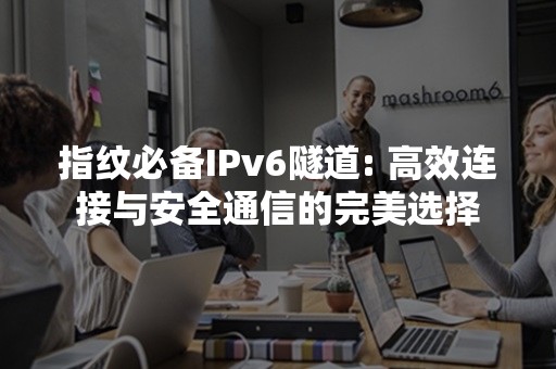 指纹必备IPv6隧道: 高效连接与安全通信的完美选择