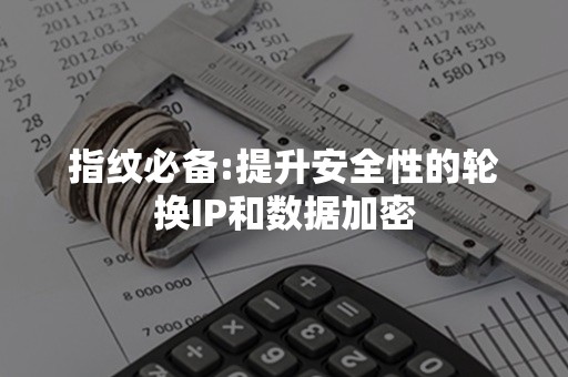 指纹必备:提升安全性的轮换IP和数据加密