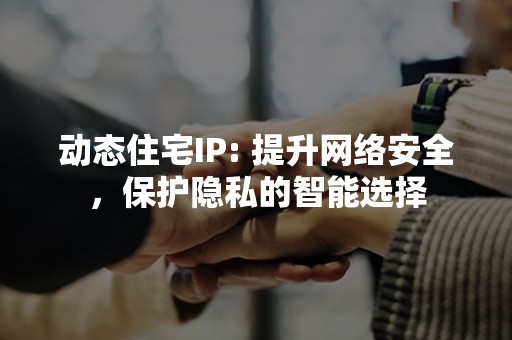 动态住宅IP: 提升网络安全，保护隐私的智能选择