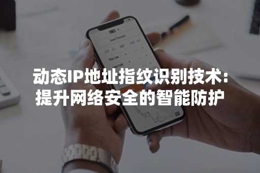 动态IP地址指纹识别技术:提升网络安全的智能防护