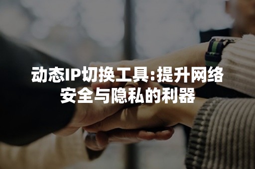 动态IP切换工具:提升网络安全与隐私的利器