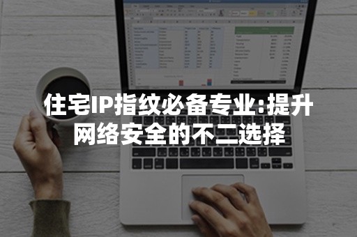 住宅IP指纹必备专业:提升网络安全的不二选择