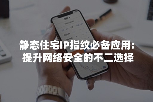 静态住宅IP指纹必备应用: 提升网络安全的不二选择